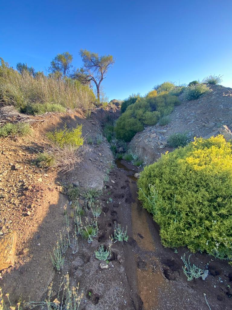 0 Bedroom Property for Sale in Touws River Rural Western Cape